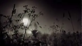 Doyeq - Cat Goes Home (Original Mix)