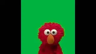 Elmo Stares at you Meme Green Screen #shorts