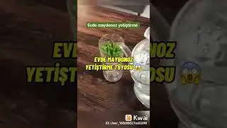 maydanoz cimlendirme