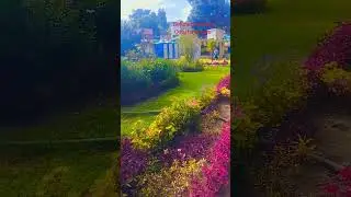#ooty🌹🏡 Mujhe nind na aaye//Amirkhan,Madhuri Dixit//please subscribe like comment share now #love