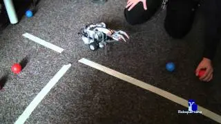 NXT Smart Ball Hunter at Robopartans, part 2