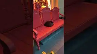 Самый лучший город на ЗЕМЛЕ 