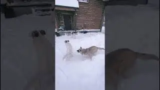 У нас новая банда 😜