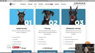 Основное об услуге