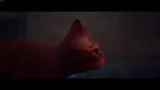Playing Stray  - 3