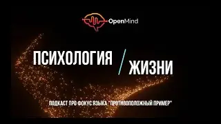 Подкаст про Фокус Языка 