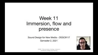 Immersion Flow and Presence