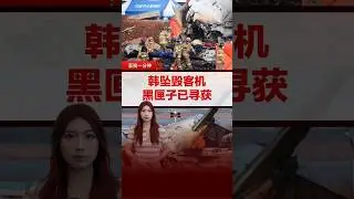 【韩国客机坠毁】黑匣子已找到 机长曾发出Mayday信号