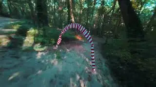 forrest chase