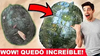 Así quedó LA TORTUGA al LIMPIARLA! 😲🐢