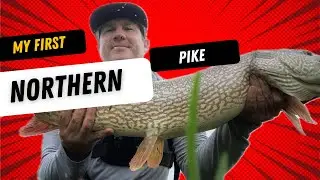 I DID NOT EXPECT THIS!!! 🤯 #what #northernpike #chatterbait