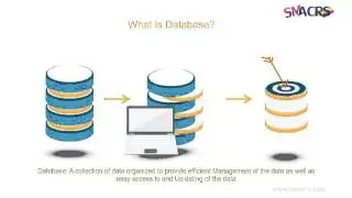 Introduction to Database
