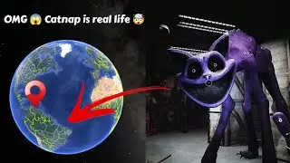 i found catnap on Google map and google earth in real life #googleearth #earth #map #viral #catnap