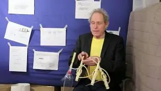 The Neural System