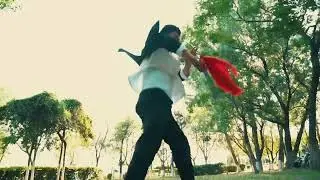 Chinese Kung Fu④