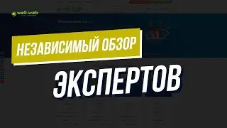 Независимый обзор хостинга Well web