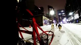 Downtown Pittsburgh Dog Sledding 2016