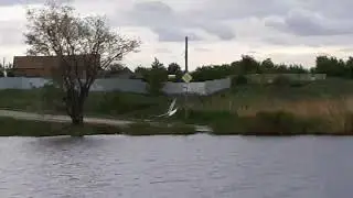 Просто без музыки 🤫😂💃👍😄