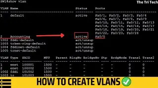 How to Configure the VLANS & Assigning Ports to VLANs in Cisco all Switches | Configurations