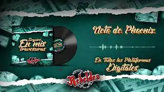 Los Nuevos Rebeldes – Neto De Phoenix (2024)