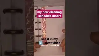 I made my own custom cleaning schedule 🧽🤞