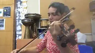 Day#28.....Wild Mountain Thyme...(Violin Cover - Ed Sheeran)