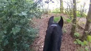 she didn't really feel like it today. The way back was a lot faster than the way there