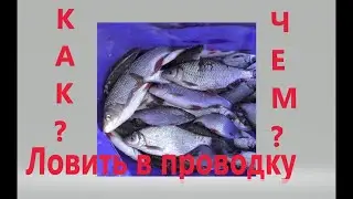 Как ловить рыбу в проводку
