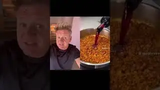 Gordon Ramsay rates Notorious Foodie’s Shepherds Pie! 