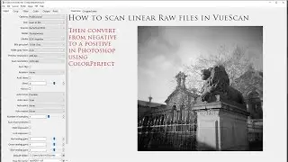How to Scan Linear Raw Files in VueScan