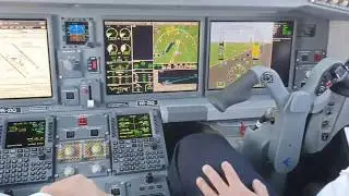 New Embraer E2 #TechLion landing at Minsk International Airport. Cockpit view!