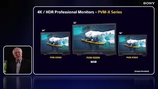 PVM-X Series Professional Monitors