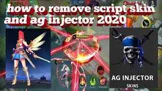 How to remove script skin and ag injector 2020