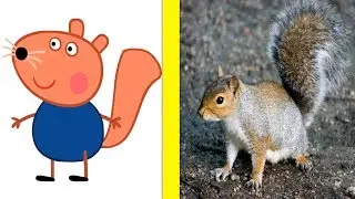 Peppa Pig Animal in Real Life Peppa Pig Animal en la vida real - Happy Life