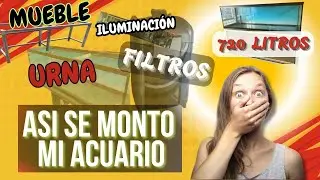 Montaje Acuario 720 litros, su evolución después de 1 año 20-02-2021