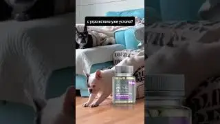 когда нет сил даже проснуться поможет органический магний #юмор