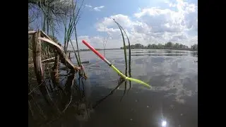 ЛОВЛЯ КАРАСЯ НА ПОПЛАВОЧНУЮ УДОЧКУ