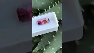 W5277-tropical-sunset-tourmaline-2.20-carat-russia-ravenstein