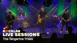 Rocklab Live Sessions - The Tangerine Trees