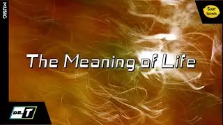 DR. T - The Meaning of Life