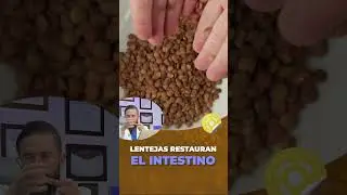 Mejora Tu Tránsito Digestivo con Lentejas - Conferencia # 62 - Dr Benjamín PhD (fragmento)