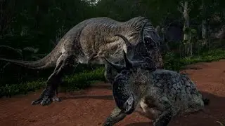 EVRIMA NEWS - The Rex's tackle - Wonderful things are coming SOON, SOON, VERY SOON!