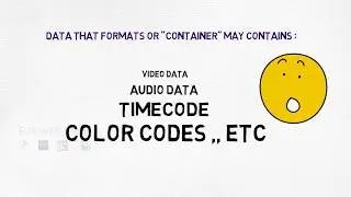 Different between Codec and Formats