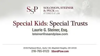 Special Kids: Special Trusts - Laurie G. Steiner