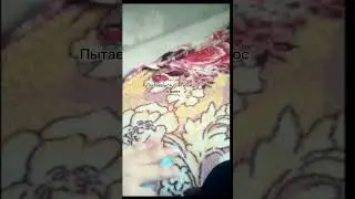 прикол