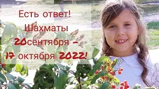 Lizzka Star 2 класс. Осенняя олимпиада Учи.ру по шахматам 20 сентября — 17 октября 2022 год