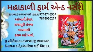 mahakali farm and nursery