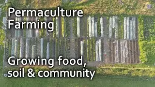 Permaculture Farming – food, soil & community