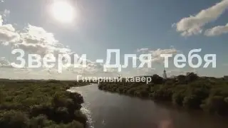 Звери - Для тебя - фингерстайл кавер - Александр Бритвин