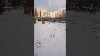 Москву завалило снегом. 🥶🌨️